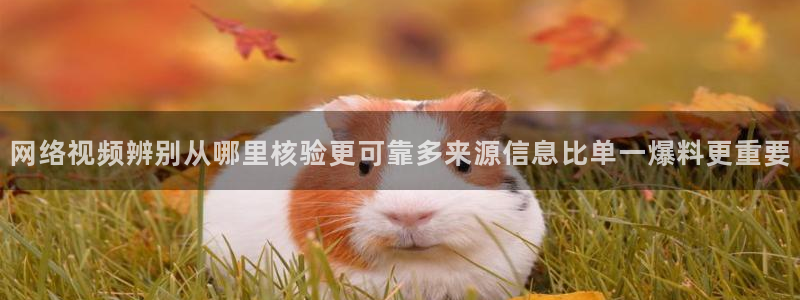 51吃瓜在线视频