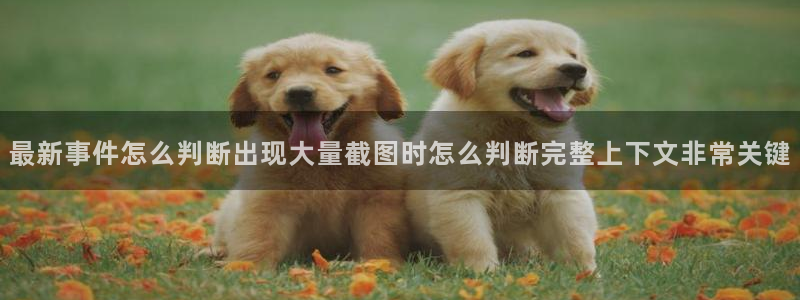 51吃瓜网黑料