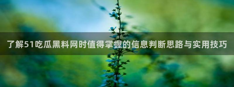 吃瓜网爆料
