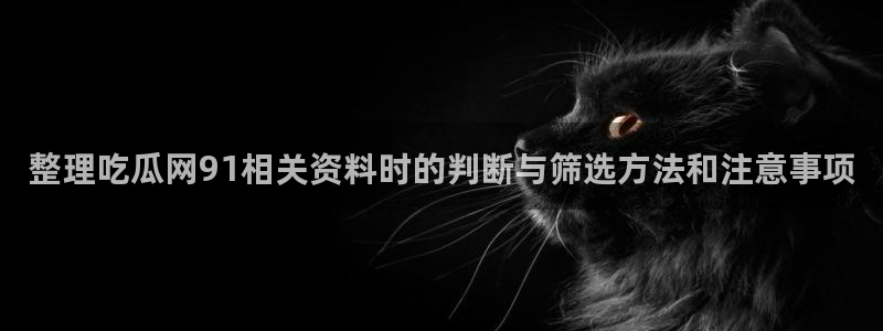 91 吃瓜