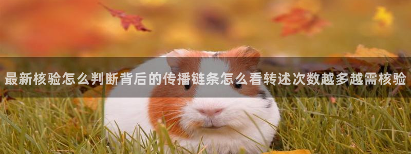 吃瓜爆料免费：最新核验怎么判断背后的传播链条怎么看转述次数越多越需核验