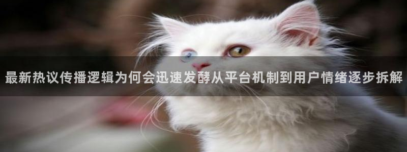 吃瓜在线:最新热议传播逻辑为何会迅速发酵从平台机制到用户情绪逐步拆解