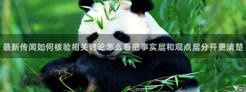 吃瓜