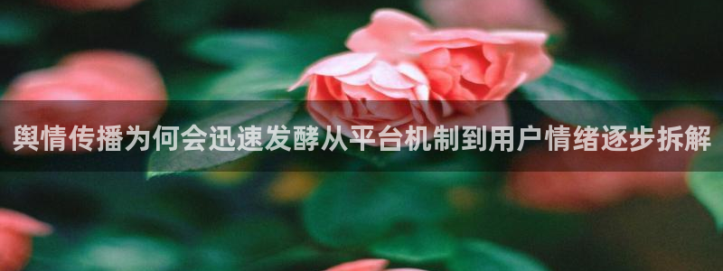 51吃瓜网黑料:舆情传播为何会迅速发酵从平台机制到用户情绪逐步拆解