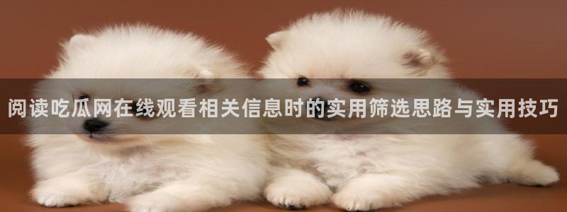 吃瓜网最新网址:阅读吃瓜网在线观看相关信息时的实用筛选思路与实用技巧